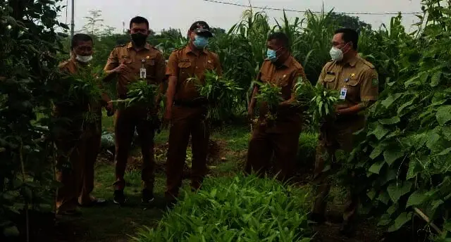 Kecamatan Neglasari Panen Sayur dan Ikan di RBTI