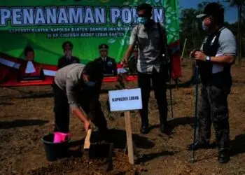 Cegah Longsor di Wilayah Baduy, TNI/Polri Tanam Pohon