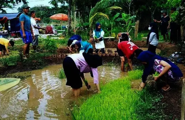 Berwisata Sambil Belajar di Kampung Kebun Kunciran Jaya Berwisata Sambil Belajar di Kampung Kebun Kunciran Jaya