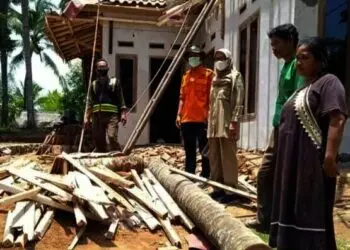 Tertimpa Pohon Kelapa, Rumah di Cihara Lebak Rusak Berat