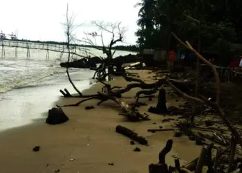 Diduga Ini Penyebab Abrasi Pantai Karoeng dan Laba di Pandeglang