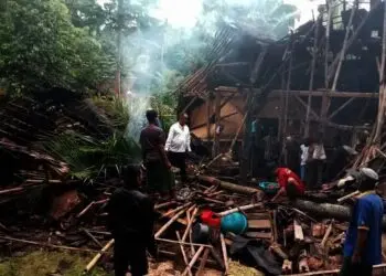 Sekeluarga Nyaris Tewas Tertimpa Pohon Kelapa Tumbang di Angsana Kabupaten Pandeglang