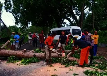Pohon tumbang sempat tutup akses menuju wisata pantai Anyer, Sabtu (27/11/2021)