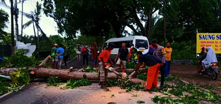 Gegara Ini, Akses Jalan Raya Menuju Wisata Anyer Sempat Terhambat