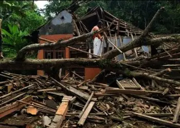 RUSAK TERTIMPA POHON–Rumah tertimpa pohon di Kampung Cihaseum, Kelurahan Pandeglang, Kecamatan Pandeglang, Rabu (24/11/2021). (ISTIMEWA)