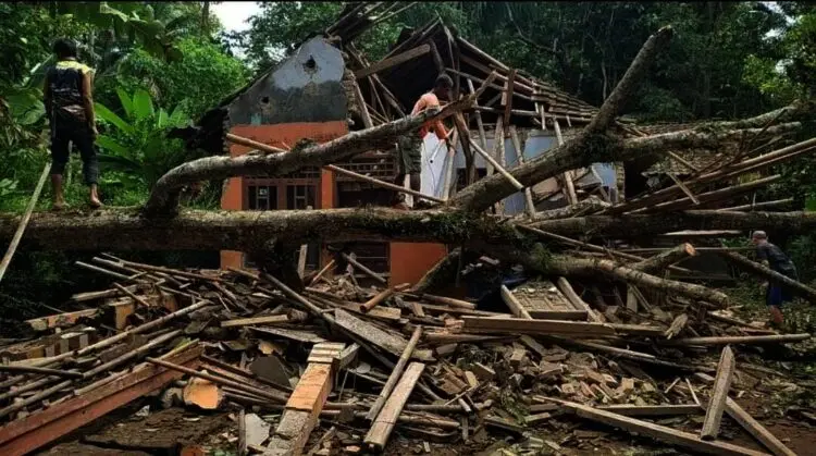 Pohon Tumbang Menimpa Rumah Warga di Pandeglang, Sekeluarga Terpaksa Mengungsi