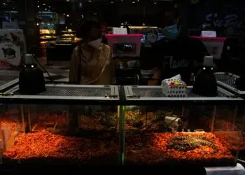 Potret Pameran Hewan Peliharaan Eksotik di Mal Living World