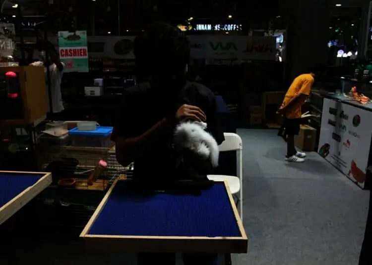Potret Pameran Hewan Peliharaan Eksotik di Mal Living World