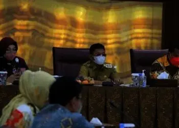 Di Hadapan Anggota DPR, Sachrudin Pamerkan Rendahnya Angka Stunting di Kota Tangerang