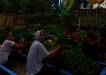 Peraih Kampung Iklim, Diawali dengan Mengubah Pola Pikir