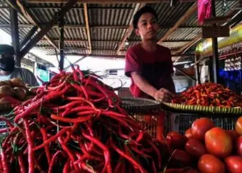 Jelang Nataru, Harga Bahan Pokok di Kota Tangerang Naik, Pedagang: Cabai Naik Rp 16 Ribu