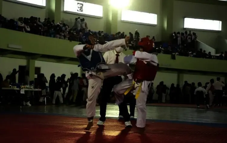 Atlet Taekwondo Pemula Kota Serang Bawa Pulang 78 Medali Emas