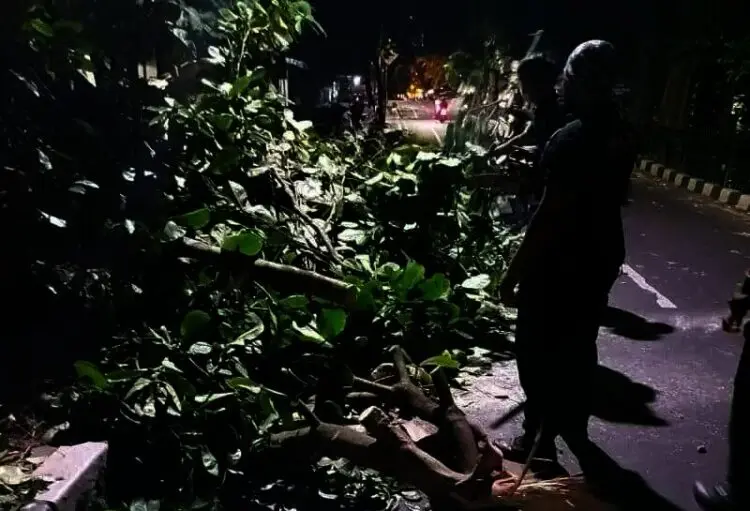 Angin Kencang di Kota Tangerang, BPBD: Hindari Berteduh dan Parkir di Bawah Pohon