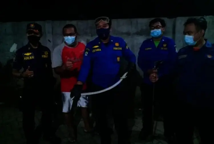 Musim Hujan, BPBD Kota Tangerang Minta Warga Waspada Ular Kobra