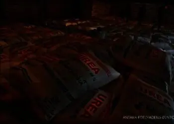 Pupuk bersubsidi di salah satu gudang pemerintah. (ISTIMEWA)