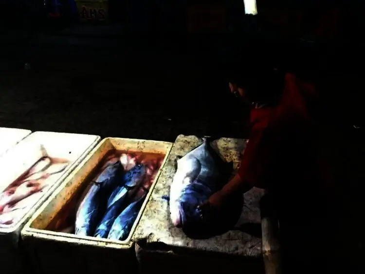 Anak kecil sedang menunjuk ikan laut yang dijajakan para pedagang ikan, di TPI Teluk Labuan, Sabtu (4/12/2021). (NIPAL SUTIANA/SATELITNEWS.ID)