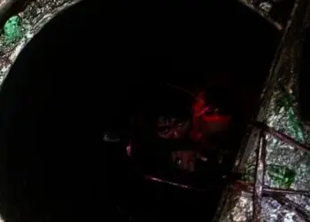 Pemburu Jangkrik Terjebak 7 Jam di Gorong-gorong