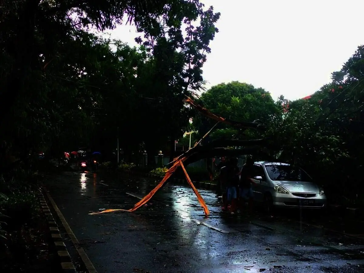 Mencekam, Hujan Deras dan Angin Kencang Menyebabkan Pohon Tumbang Hingga Menimpa Kendaraan Mencekam, Hujan Deras dan Angin Kencang Menyebabkan Pohon Tumbang Hingga Menimpa Kendaraan