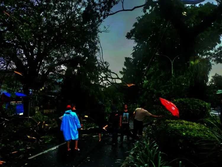 Mencekam, Hujan Deras dan Angin Kencang Menyebabkan Pohon Tumbang Hingga Menimpa Kendaraan