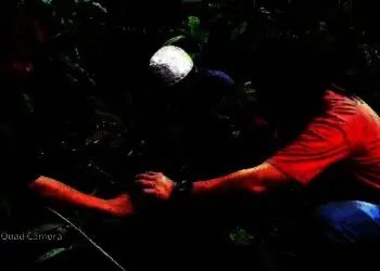 Peringati Milad Ke-25, Seniman Jalanan di Lebak Ini Tanam Pohon Buah