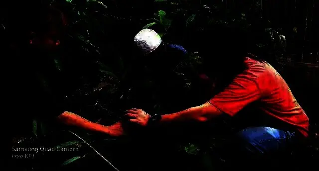 Peringati Milad Ke-25, Seniman Jalanan di Lebak Ini Tanam Pohon Buah