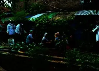 Warga Kampung di Kota Tangerang Ini Olah Daun Sirih Jadi Kudapan