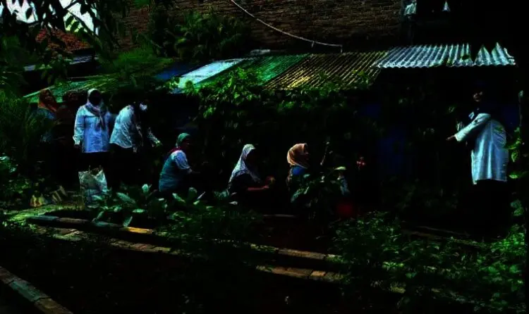 Warga Kampung di Kota Tangerang Ini Olah Daun Sirih Jadi Kudapan