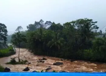 Buaya yang Gigit Warga Cimanggu Ditangkap, Camat Minta Masyarakatnya Tetap Jaga Kondusifitas
