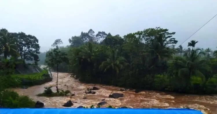Buaya yang Gigit Warga Cimanggu Ditangkap, Camat Minta Masyarakatnya Tetap Jaga Kondusifitas