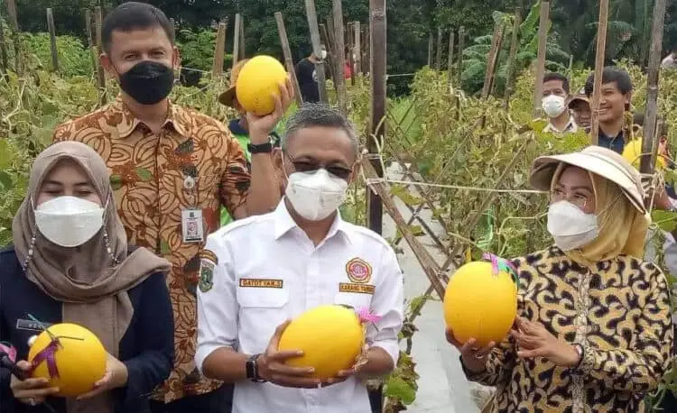 Gali Potensi Pertanian, Distan Kabupaten Serang Berikan Pendampingan ke Desa