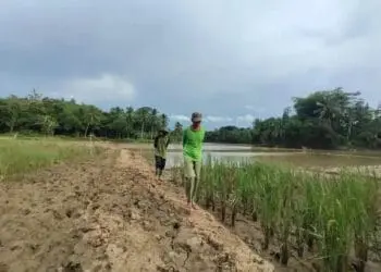 Kurangi Limbah Pasir, Anggota DPRD Lebak Minta Jam Operasi Tambang Dibatasi