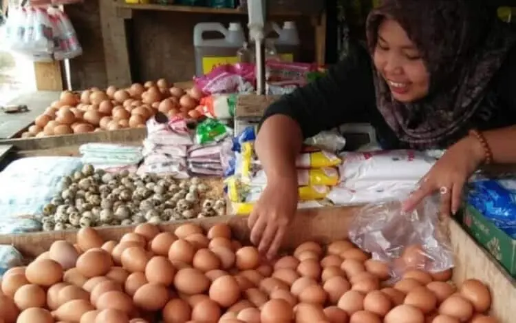 Harga Telur di Pandeglang Berangsur Normal, Dijual Rp 20.000 per Kg