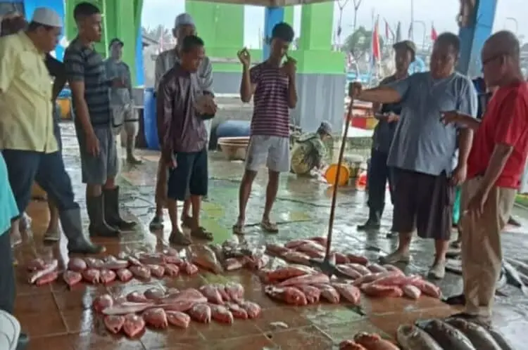 Kabar Gembira! Hasil Tangkapan Ikan Nelayan Labuan Pandeglang Dibayar Tunai