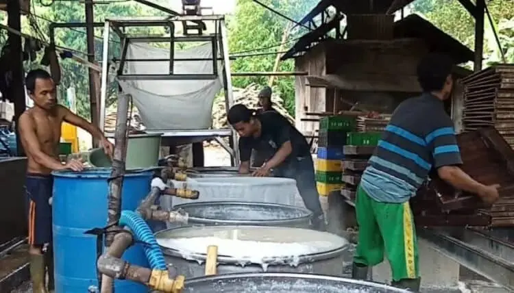 Harga Kedelai Meroket, Pembuat Tahu-Tempe di Pandeglang Stop Produksi