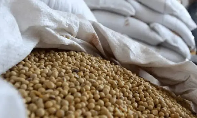 Harga Kedelai Impor Naik, Bahan Baku Tahu Tempe Diusulkan Diganti