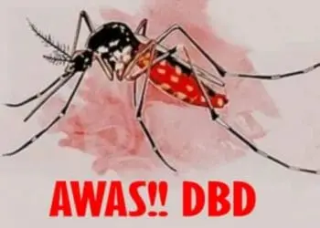 Lima Warga Terjangkit DBD, Pemuda Soroti RT-RW di Batusari