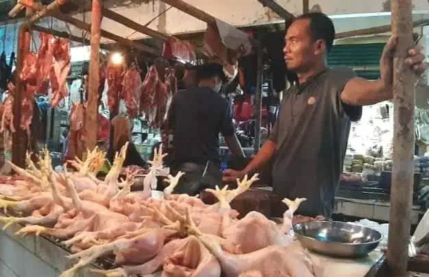 Penjual ayam potong di Pasar Pandeglang, sedang menjajakan dagangannya, Jumat (4/3/2022). (ISTIMEWA)