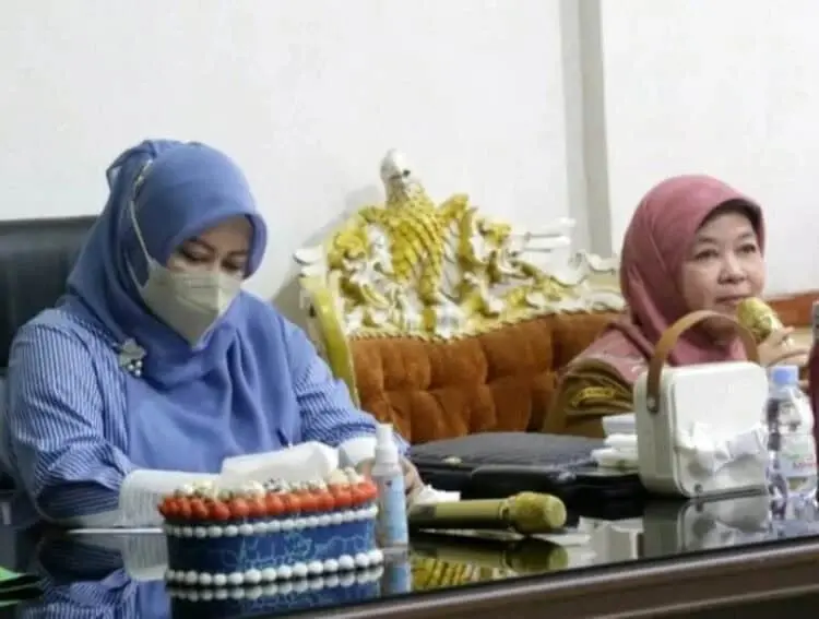 Cetuskan Aplikasi Pelayanan Investasi, Bupati Irna: Potensi Pandeglang Besar