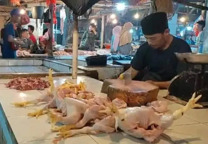 Harga Ayam Potong di Pasar Pandeglang Melambung Lagi, Capai Rp 35/Kg
