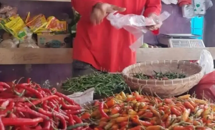 Pedagang bumbu dan sayuran, sedang menjajakan dagangannya di Pasar Pandeglang, Selasa (8/3/2022). (ISTIMEWA)