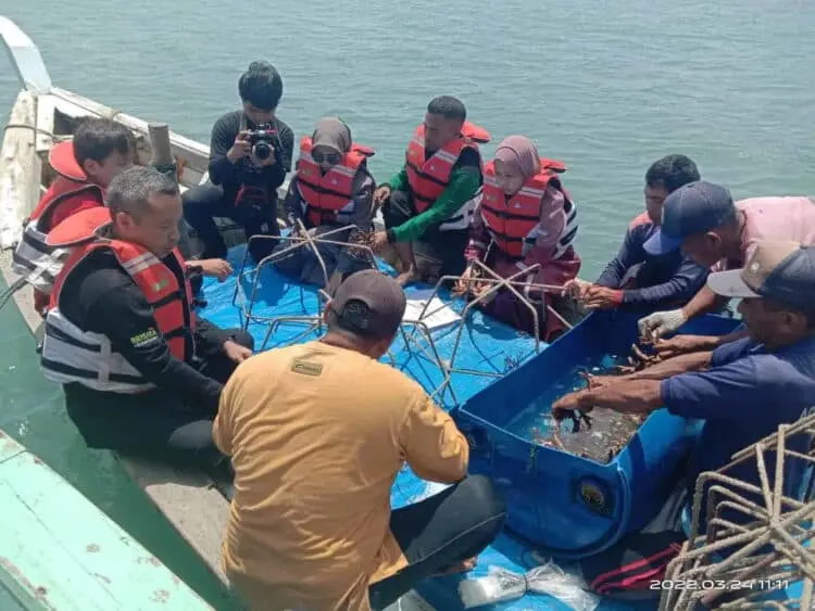 GRTK Berlanjut, Ratusan Terumbu Karang Ditanam di Pulau Liwungan dan Pulau Badul