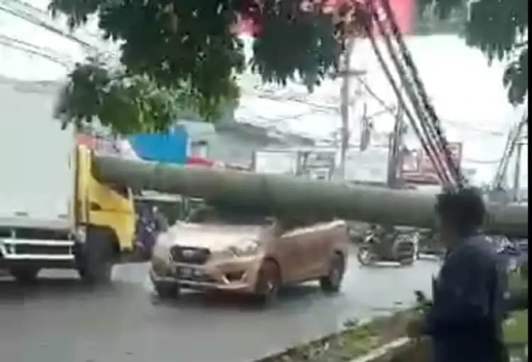 Pohon Tumbang Timpa Mobil, Motor Hingga Rumah