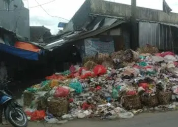 Sampah Menggunung di Jalan Raya Picung – Bojong, Kepala DLH Pandeglang: Bukan Tanggungjawab Kami