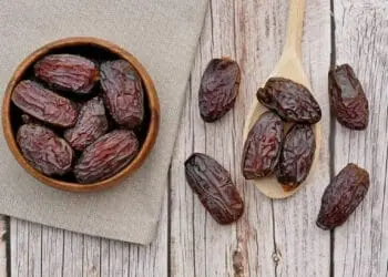 kurma (istimewa)