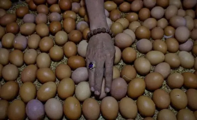 Harga Telur Mulai Perlahan Naik di Kabupaten Lebak