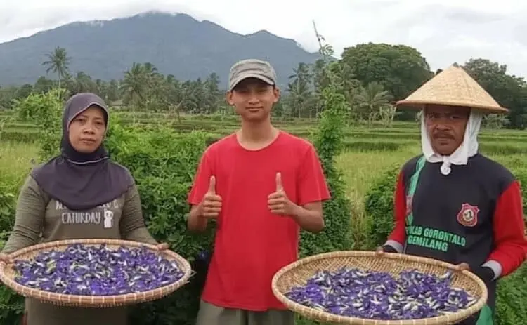 Raup Omset Rp 5 juta per Bulan, Ini yang Dikreasikan Seorang Pemuda asal Pandeglang
