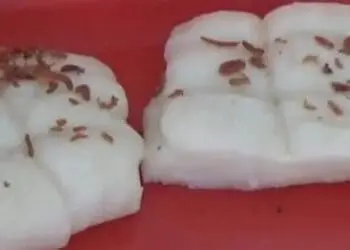 Balok Menes, salah satu kue tradisional Kabupaten Pandeglang, yang hingga kini masih digandrungi masyarakat. (ISTIMEWA)