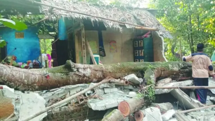 9 Unit Kontrakan dan 1 Rumah Warga Ditimpa Pohon di Tigaraksa