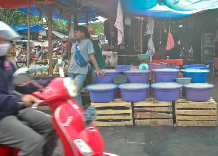 Foto Permintaan Kolang Kaling Meningkat Saat Ramadan
