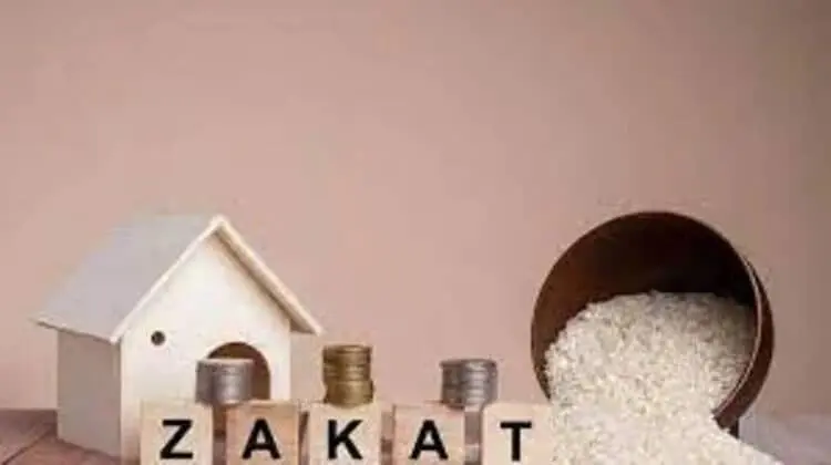 Tingkatkan Penerimaan Zakat, Begini Harapan Bupati Tatu kepada Seluruh Camat